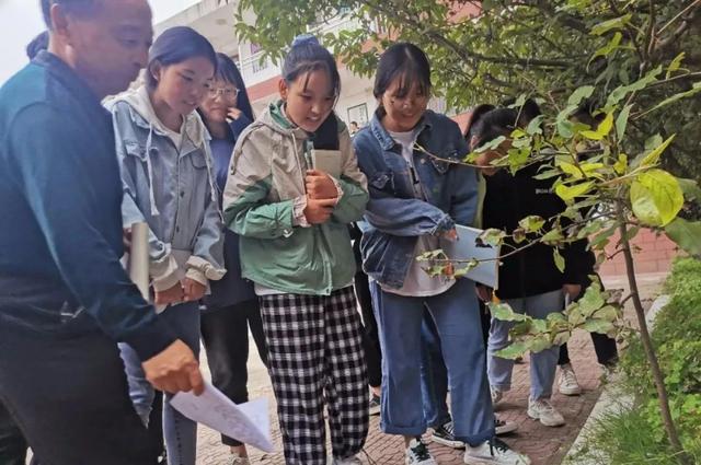 禹州南区学校社团活动正如火如荼 禹州南区学校社团活动正如火如荼