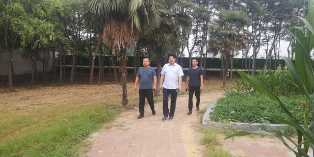 禹州韩城速度!80天俩公园建成啦! 禹州韩城速度!80天俩公园建成啦!