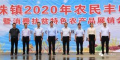 禹州文殊镇2020年第二届农民丰收节暨消费扶贫特色农产品展销会举行