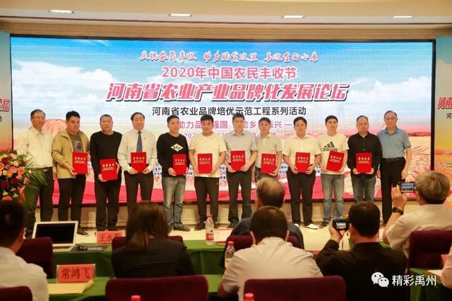 庆丰收迎小康!多个禹州品牌闪亮登场 庆丰收迎小康!多个禹州品牌闪亮登场