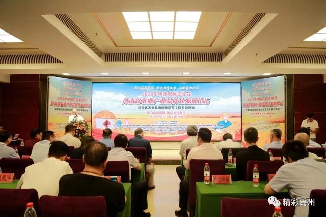 庆丰收迎小康!多个禹州品牌闪亮登场 庆丰收迎小康!多个禹州品牌闪亮登场