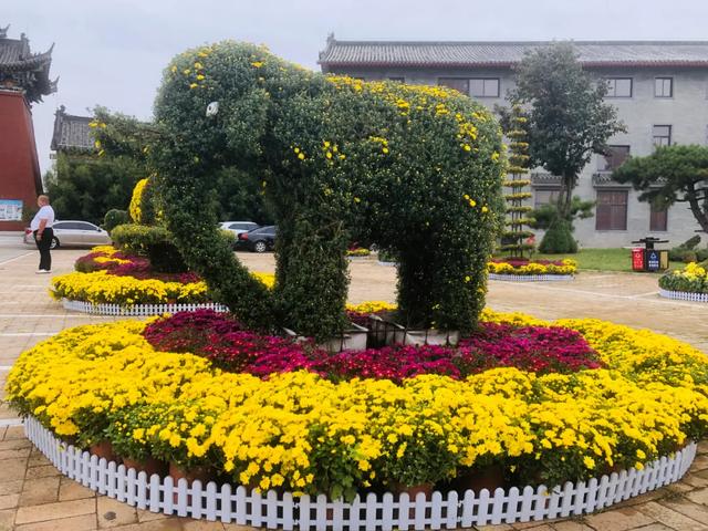 中国钧瓷文化园大型菊花展将于国庆假期盛大开启! 中国钧瓷文化园大型菊花展将于国庆假期盛大开启!