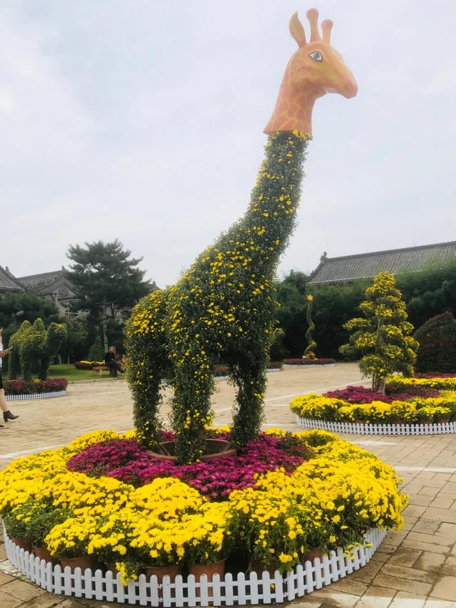 中国钧瓷文化园大型菊花展将于国庆假期盛大开启! 中国钧瓷文化园大型菊花展将于国庆假期盛大开启!
