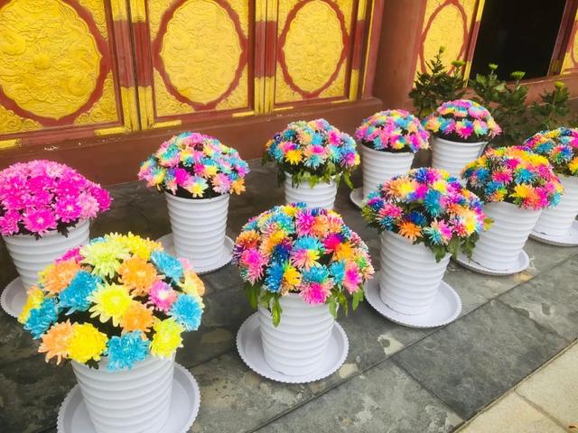 中国钧瓷文化园大型菊花展将于国庆假期盛大开启! 中国钧瓷文化园大型菊花展将于国庆假期盛大开启!