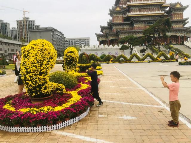 中国钧瓷文化园大型菊花展将于国庆假期盛大开启! 中国钧瓷文化园大型菊花展将于国庆假期盛大开启!
