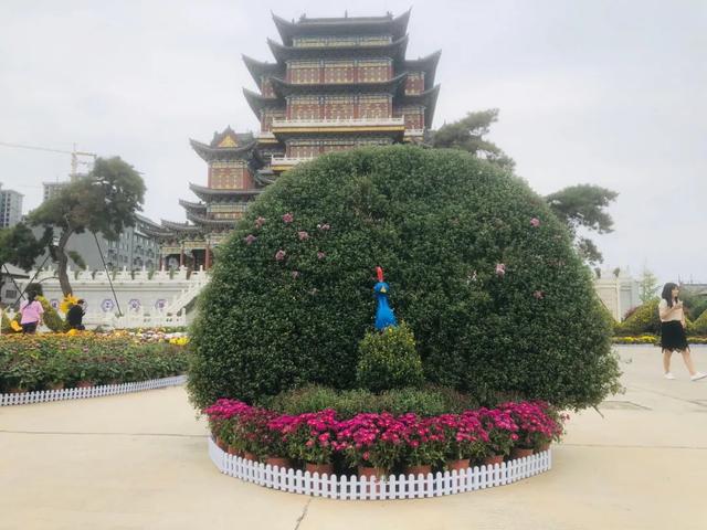 中国钧瓷文化园大型菊花展将于国庆假期盛大开启! 中国钧瓷文化园大型菊花展将于国庆假期盛大开启!