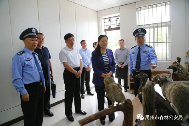 许昌市委常委、纪委书记、监委主任方婷到禹州市森林公安局调研 许昌市委常委、纪委书记、监委主任方婷到禹州市森林公安局调研