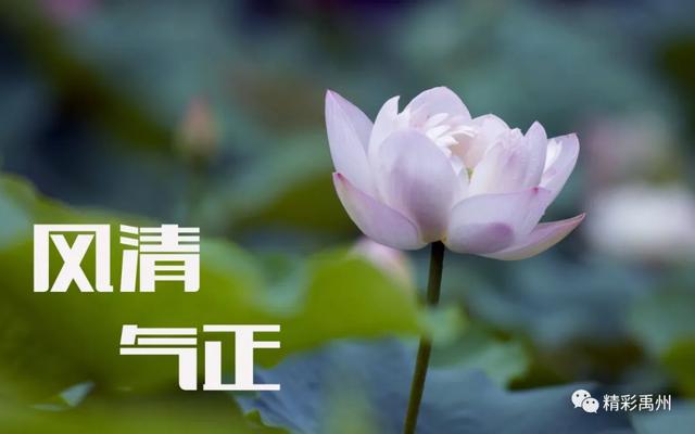 2020年禹州市村(社区)“两委”换届这样做 2020年禹州市村(社区)“两委”换届这样做