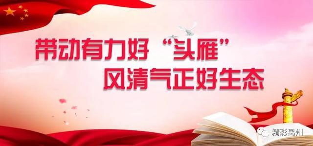 2020年禹州市村(社区)“两委”换届这样做 2020年禹州市村(社区)“两委”换届这样做