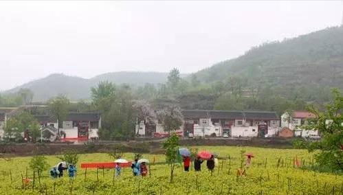禹州市旅游再获多项殊荣! 禹州市旅游再获多项殊荣!