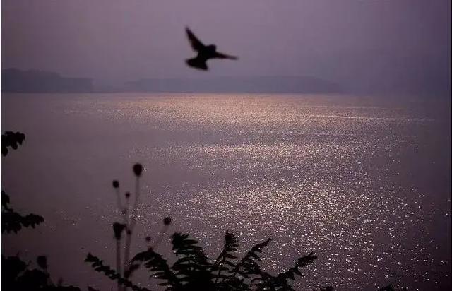 禹州10大景点,够你和最爱的人再逛8天! 禹州10大景点,够你和最爱的人再逛8天!