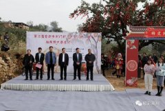 磨街乡刘门村“十全‘柿’美”短视频大赛启动，快来这里品品吧