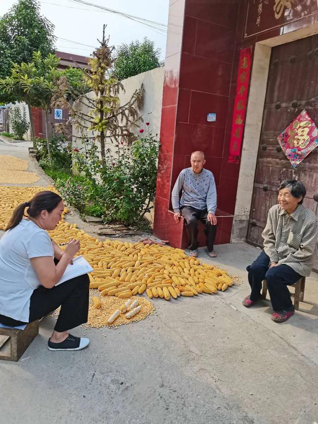 禹州市:双节假期不放松 履职尽责抓扶贫 禹州市:双节假期不放松 履职尽责抓扶贫