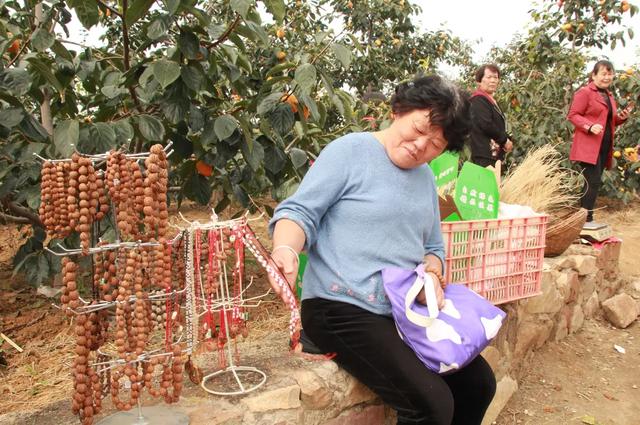 禹州磨街乡刘门村第二届“十全‘柿’美”短视频大赛启动活动隆重举行! 禹州磨街乡刘门村第二届“十全‘柿’美”短视频大赛启动活动隆重举行!