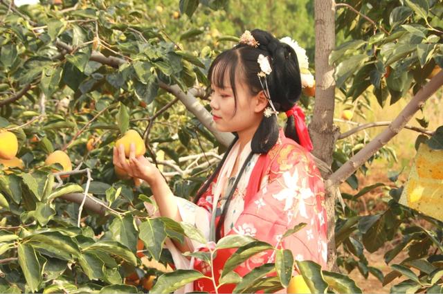 禹州磨街乡刘门村第二届“十全‘柿’美”短视频大赛启动活动隆重举行! 禹州磨街乡刘门村第二届“十全‘柿’美”短视频大赛启动活动隆重举行!