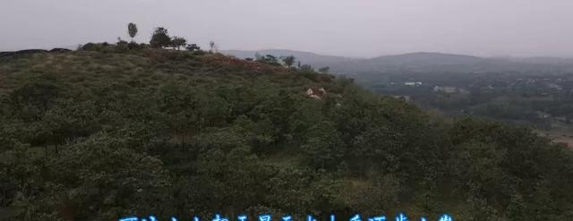 解密禹州这个小山村流传千年的传奇故事! 解密禹州这个小山村流传千年的传奇故事!