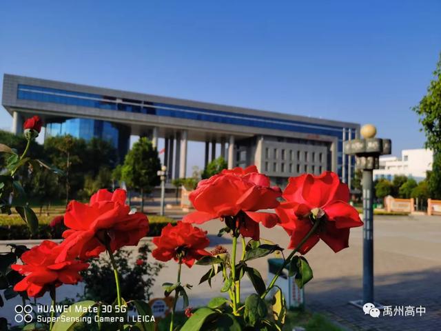 禹州高中:他山之石,可以攻玉---一封公开信 禹州高中:他山之石,可以攻玉---一封公开信