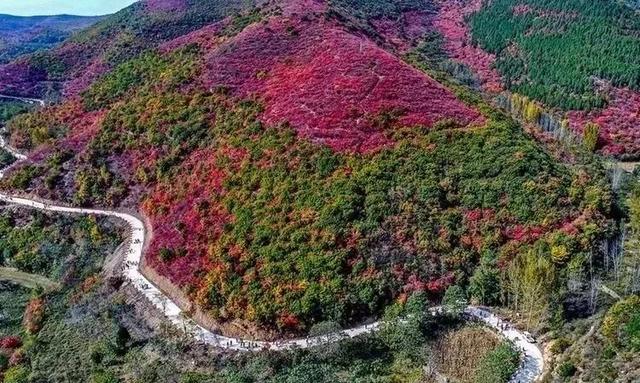 秋天,禹州市鸠山镇天垌村邀你来打卡! 秋天,禹州市鸠山镇天垌村邀你来打卡!