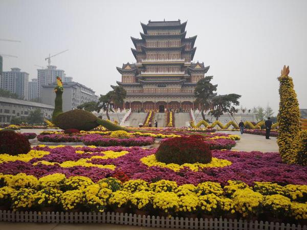 菊花与钧瓷“牵手”∣禹州市金秋菊展精彩绽放 菊花与钧瓷“牵手”∣禹州市金秋菊展精彩绽放