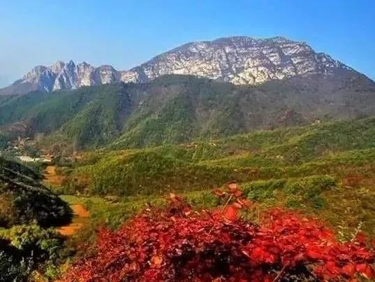 禹州大鸿寨第十三届红叶节将在10月18日盛大开幕! 禹州大鸿寨第十三届红叶节将在10月18日盛大开幕!