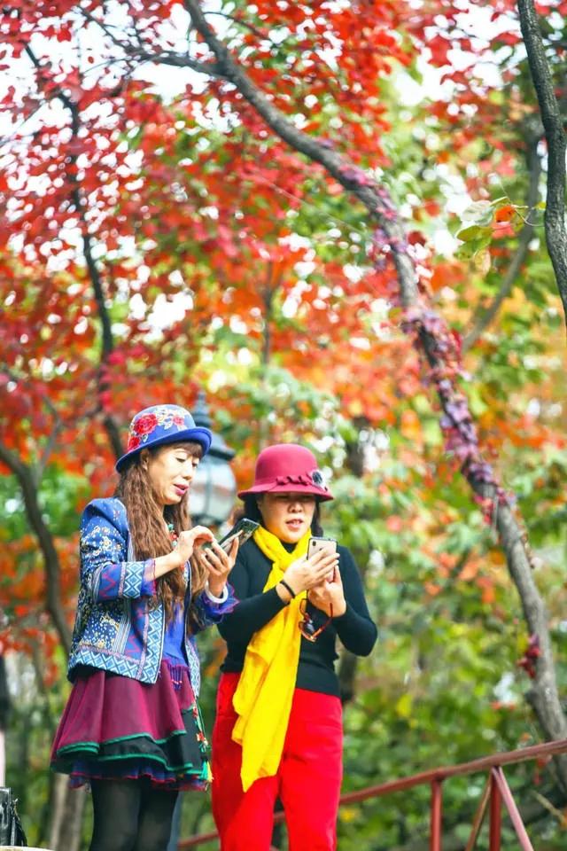 禹州大鸿寨第十三届红叶节将在10月18日盛大开幕! 禹州大鸿寨第十三届红叶节将在10月18日盛大开幕!