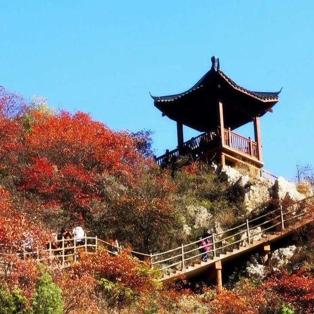 禹州大鸿寨第十三届红叶节将在10月18日盛大开幕! 禹州大鸿寨第十三届红叶节将在10月18日盛大开幕!