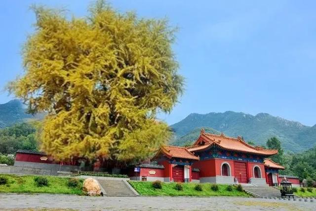 禹州大鸿寨第十三届红叶节将在10月18日盛大开幕! 禹州大鸿寨第十三届红叶节将在10月18日盛大开幕!