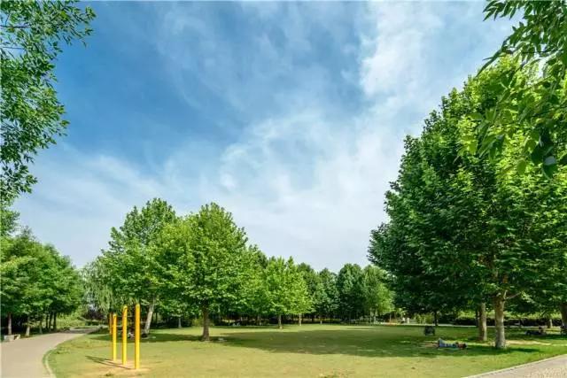 禹州市荣获首批创建“省级全域旅游示范区”殊荣! 禹州市荣获首批创建“省级全域旅游示范区”殊荣!