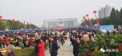 咱们禹州这位风趣幽默的副市长又变身“带货达人”了