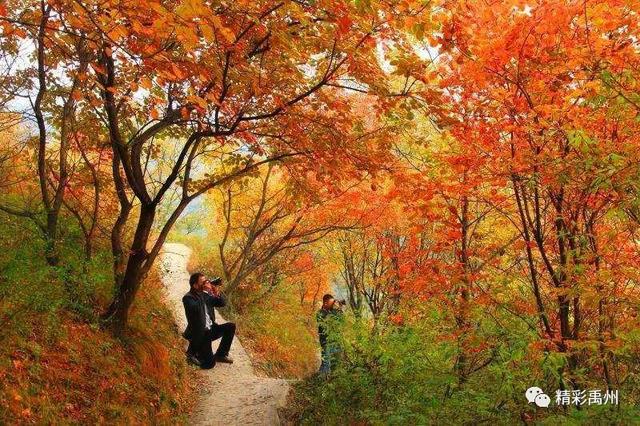 禹州市鸠山大鸿寨景区邀你看红叶,官方给出免费条款! 禹州市鸠山大鸿寨景区邀你看红叶,官方给出免费条款!