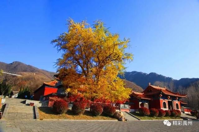 禹州市鸠山大鸿寨景区邀你看红叶,官方给出免费条款! 禹州市鸠山大鸿寨景区邀你看红叶,官方给出免费条款!