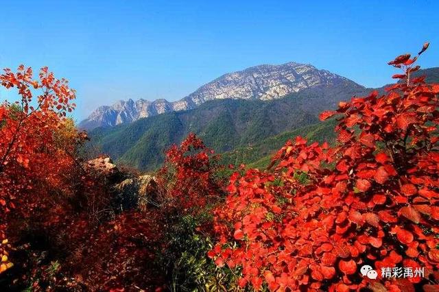 禹州市鸠山大鸿寨景区邀你看红叶,官方给出免费条款! 禹州市鸠山大鸿寨景区邀你看红叶,官方给出免费条款!
