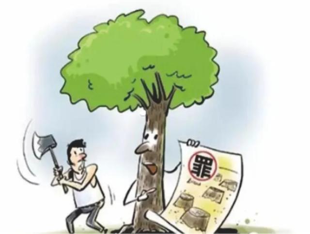 禹州检察:来,看看我们的手提袋里都装了啥? 禹州检察:来,看看我们的手提袋里都装了啥?