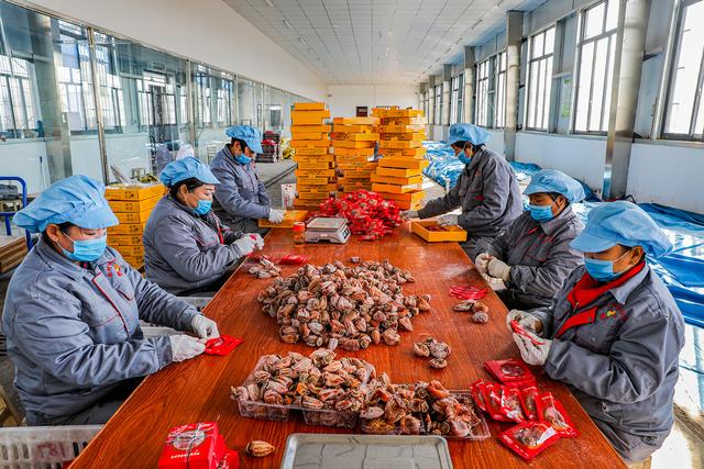 禹州第二届磨街乡刘门‘十全“柿”美’短视频大赛获奖结果出炉! 禹州第二届磨街乡刘门‘十全“柿”美’短视频大赛获奖结果出炉!