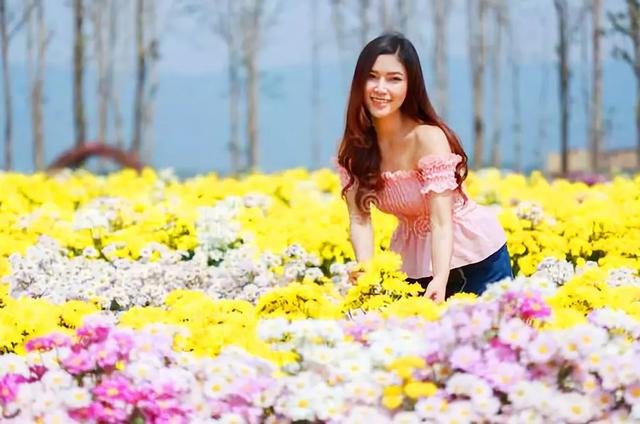 领票啦!2020禹州超大规模金秋菊花花海10月31日盛大迎客! 领票啦!2020禹州超大规模金秋菊花花海10月31日盛大迎客!