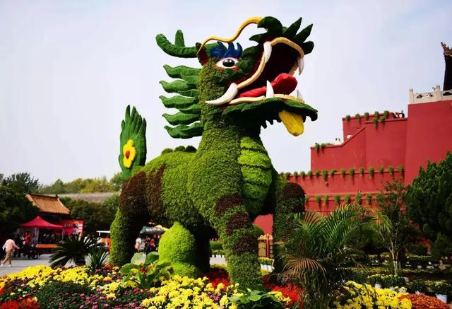 领票啦!2020禹州超大规模金秋菊花花海10月31日盛大迎客! 领票啦!2020禹州超大规模金秋菊花花海10月31日盛大迎客!