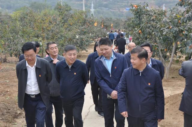 禹州第二届“中原柿乡.魅力刘门”柿子文化旅游节隆重开幕 禹州第二届“中原柿乡.魅力刘门”柿子文化旅游节隆重开幕