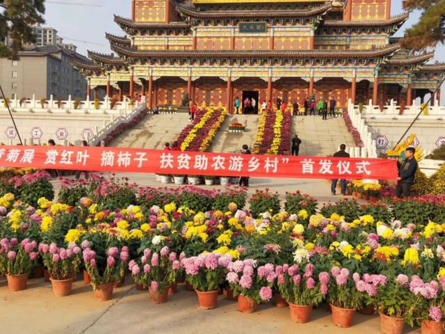 扶贫助农促振兴旅游团来禹州了 扶贫助农促振兴旅游团来禹州了
