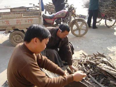 禹州城市发展进程中的60件大事(1949~2009),你知道多少? 禹州城市发展进程中的60件大事(1949~2009),你知道多少?