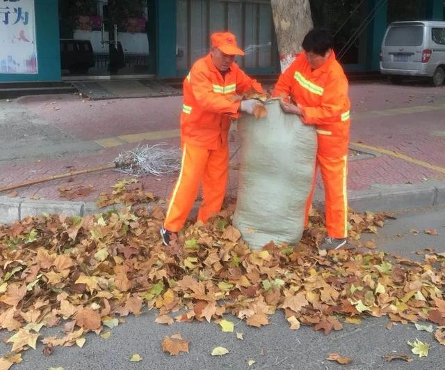 禹州环卫:又到一年落叶季 环卫工人忙清理 禹州环卫:又到一年落叶季 环卫工人忙清理