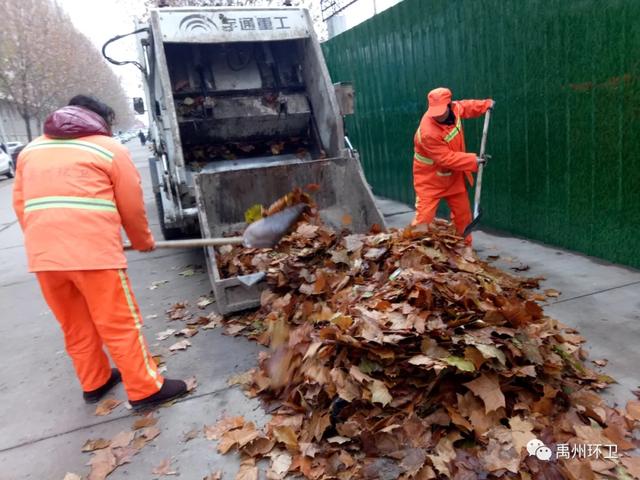 禹州环卫:又到一年落叶季 环卫工人忙清理 禹州环卫:又到一年落叶季 环卫工人忙清理