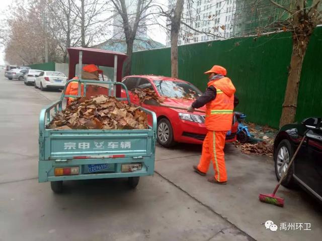 禹州环卫:又到一年落叶季 环卫工人忙清理 禹州环卫:又到一年落叶季 环卫工人忙清理