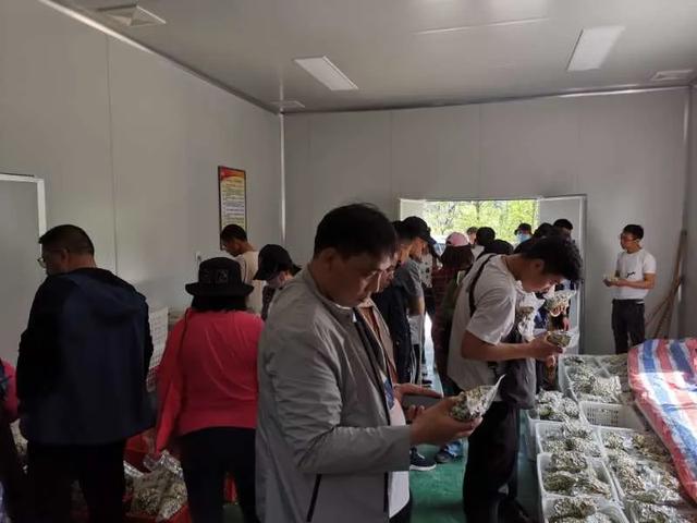 “文旅许昌 宜居之城”2020媒体报道团来禹州市采风 “文旅许昌 宜居之城”2020媒体报道团来禹州市采风