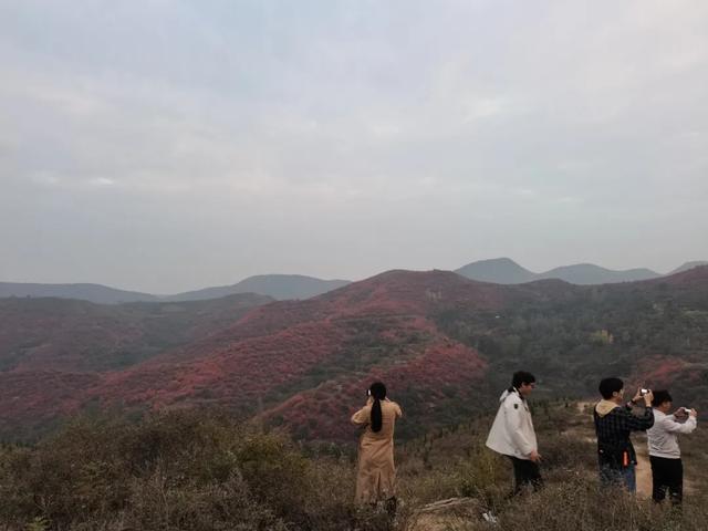 “文旅许昌 宜居之城”2020媒体报道团来禹州市采风 “文旅许昌 宜居之城”2020媒体报道团来禹州市采风