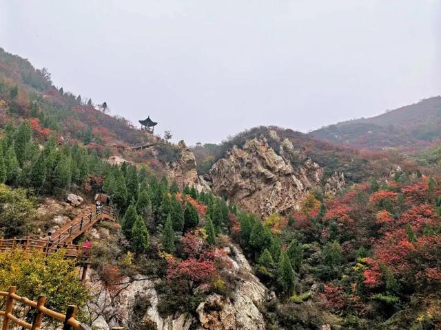 禹州市秋季乡村旅游激活许昌旅游市场 禹州市秋季乡村旅游激活许昌旅游市场