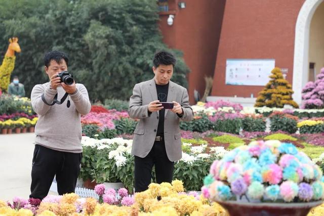 禹州市秋季乡村旅游激活许昌旅游市场 禹州市秋季乡村旅游激活许昌旅游市场