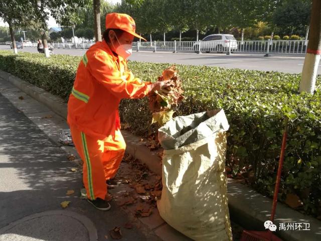 禹州环卫:又逢周五清洁日 多措并举促品质 禹州环卫:又逢周五清洁日 多措并举促品质