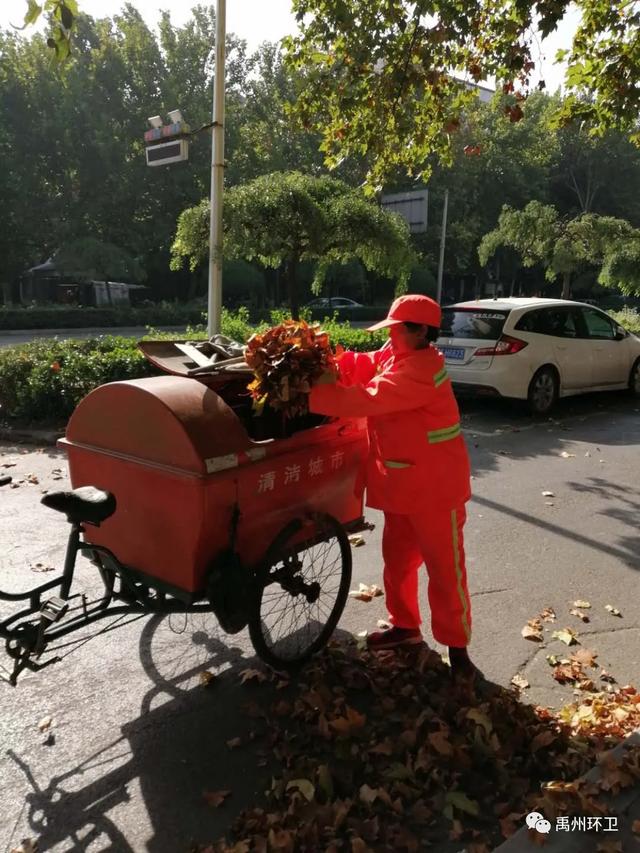 禹州环卫:又逢周五清洁日 多措并举促品质 禹州环卫:又逢周五清洁日 多措并举促品质