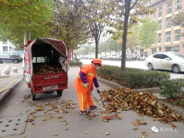禹州环卫:又逢周五清洁日 多措并举促品质 禹州环卫:又逢周五清洁日 多措并举促品质