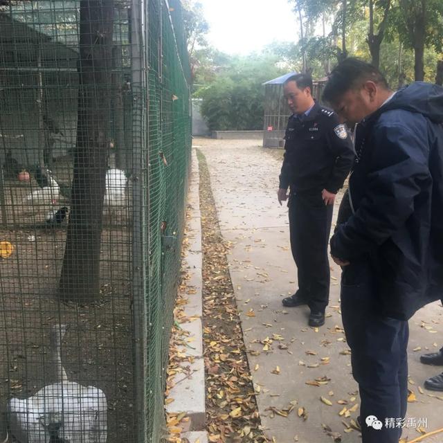 禹州警民爱心救助麦田里的“不速之客” 禹州警民爱心救助麦田里的“不速之客”
